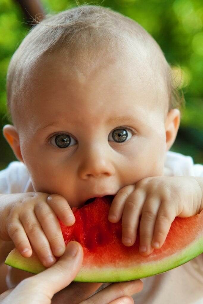 Solid food introduction for babies