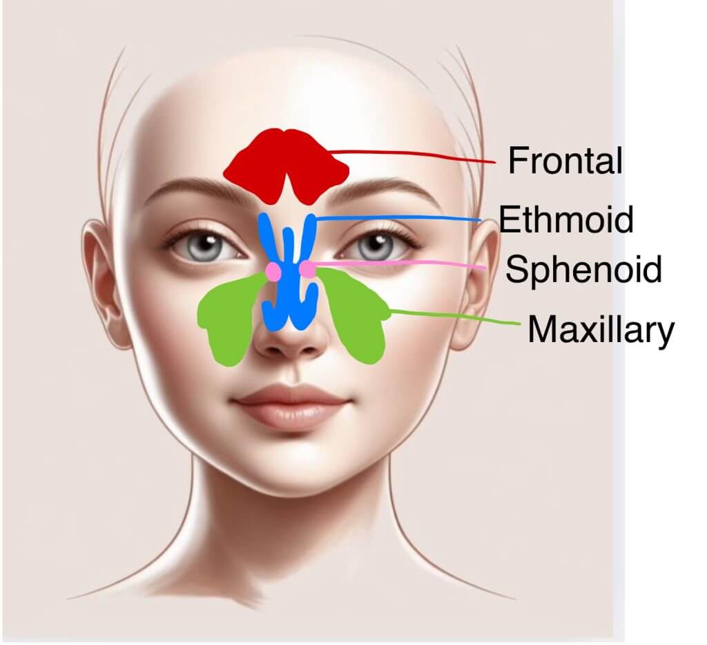 The full guide to sinusitis in children (and adults)